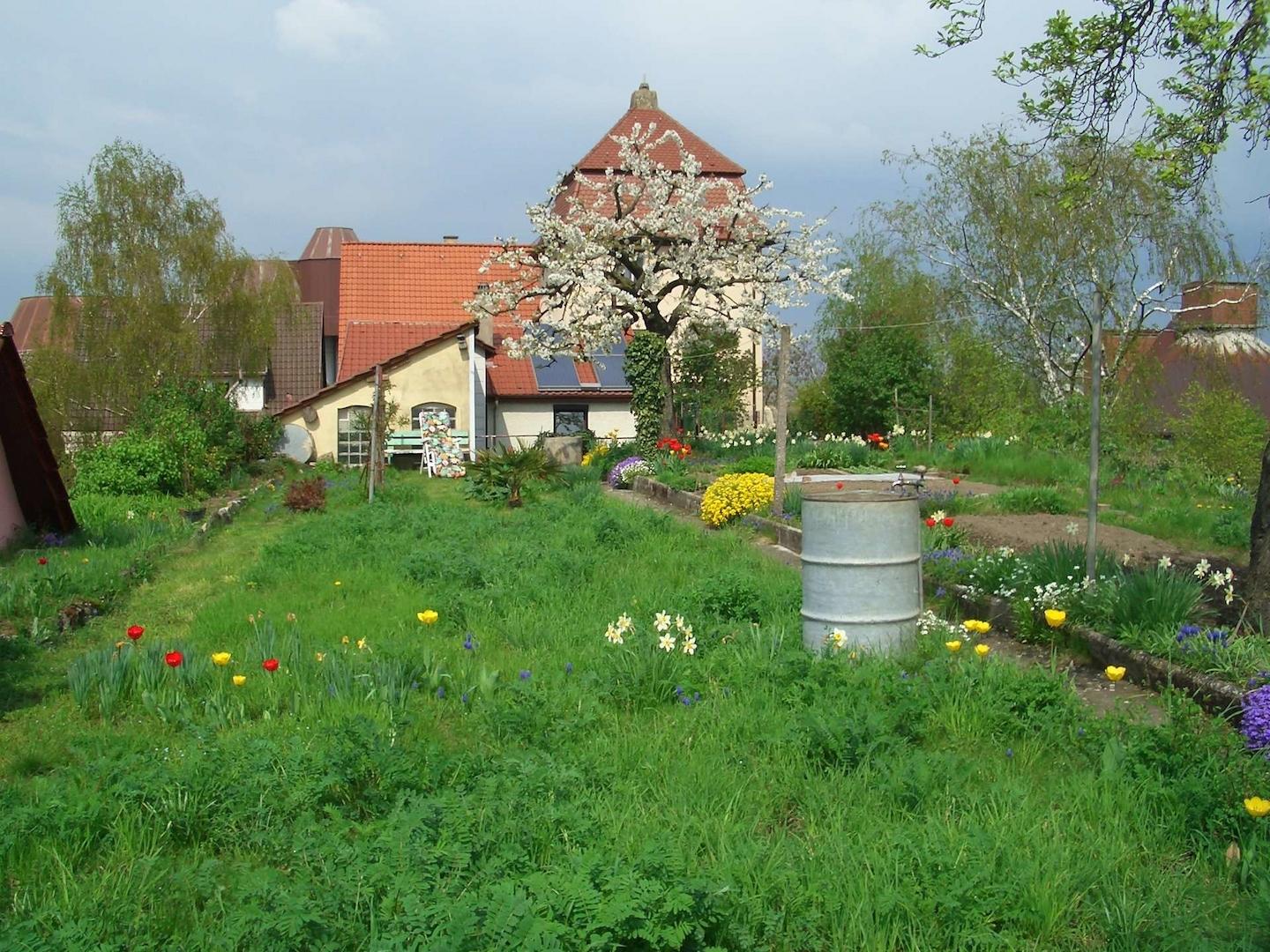 Garten (4)