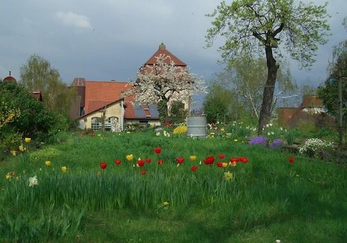 Garten (5)