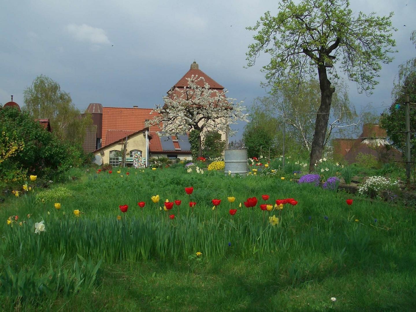 Garten (5)
