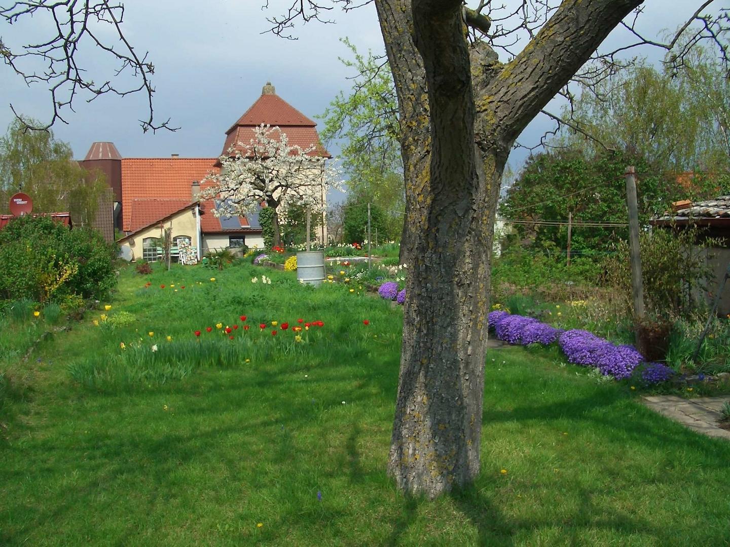 Garten (6)