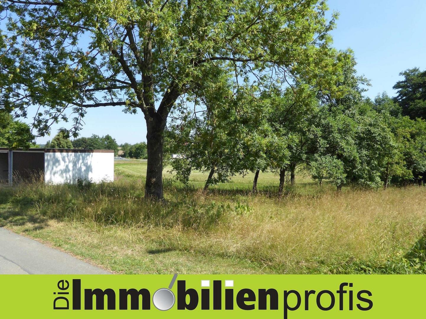 Titelbild NEU