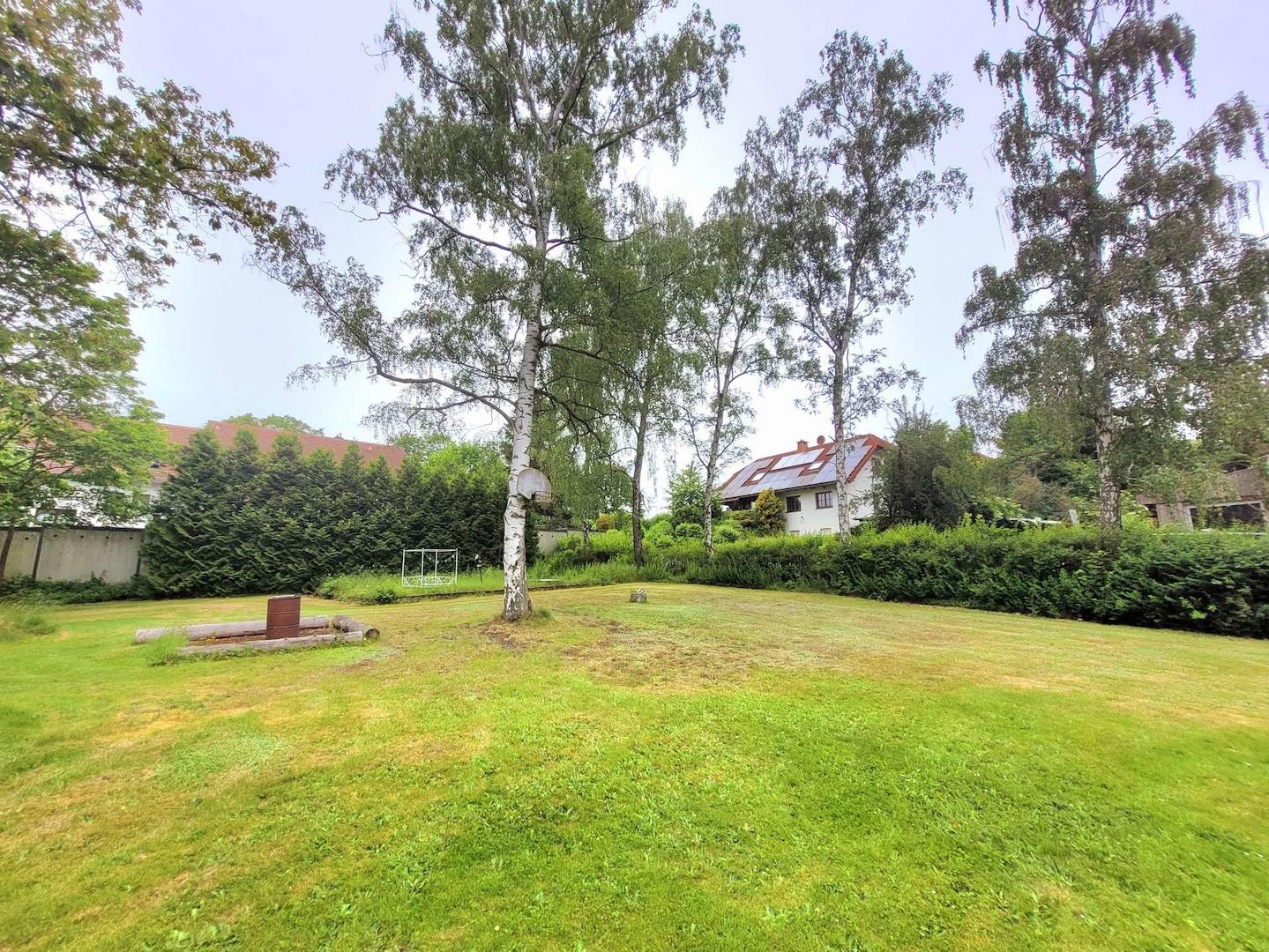 1691 - Bild 1 