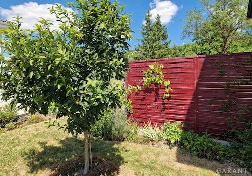 Garten 4
