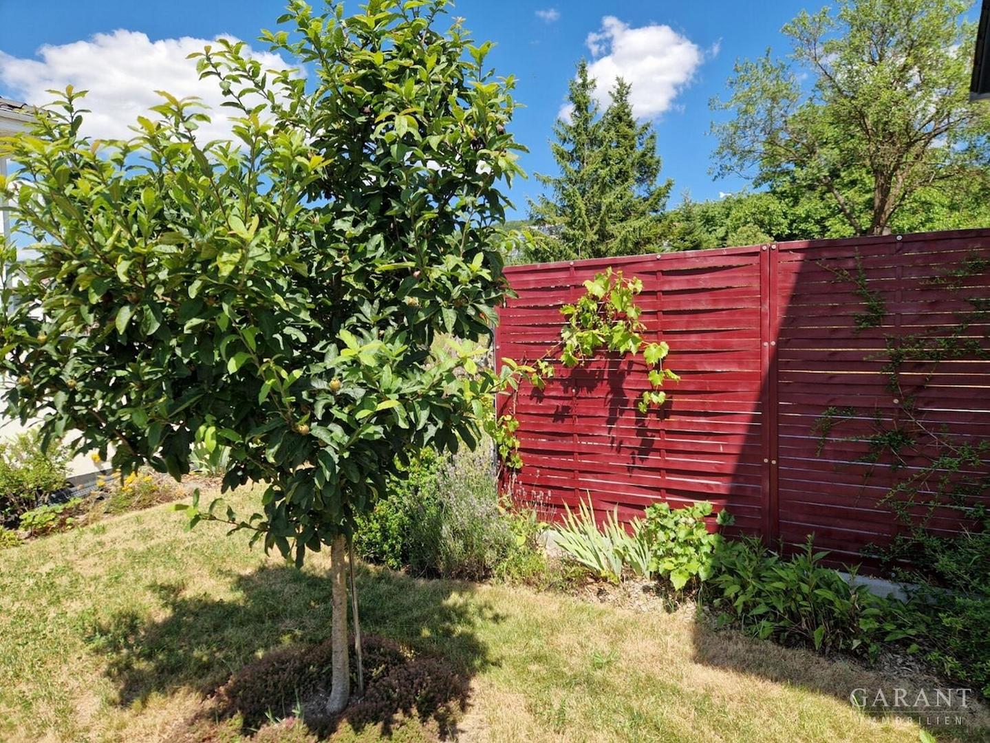 Garten 4