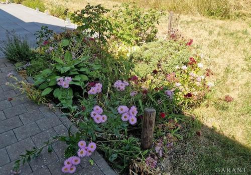 Gartenansicht 2
