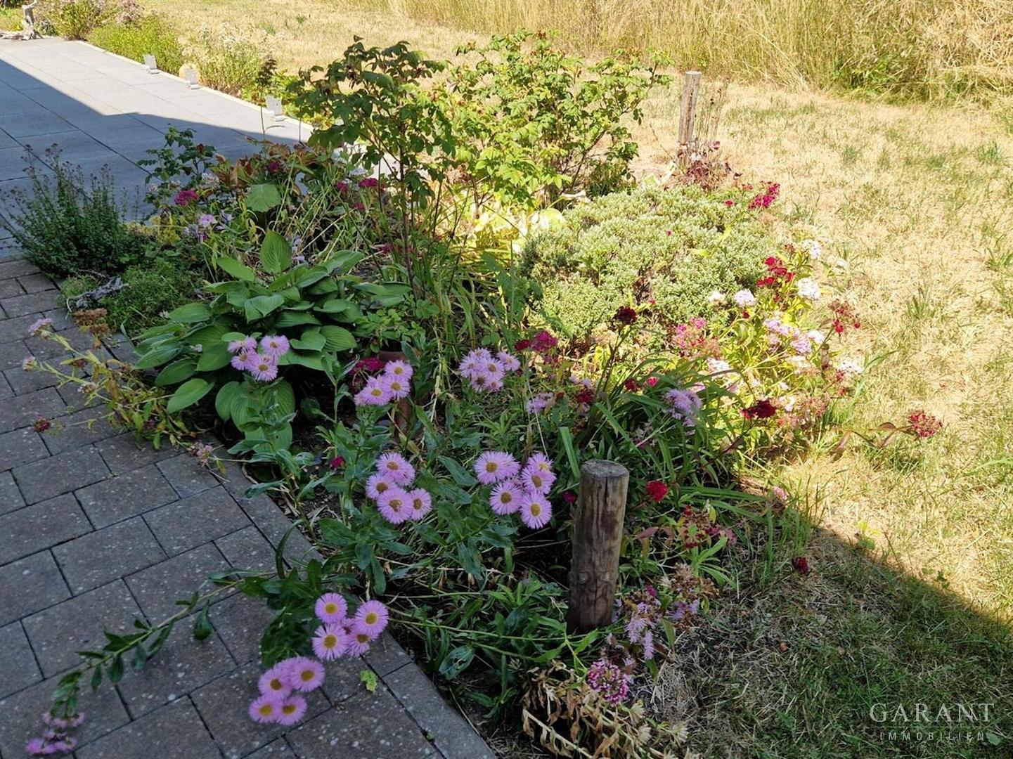 Gartenansicht 2