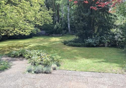 Blick in den Garten