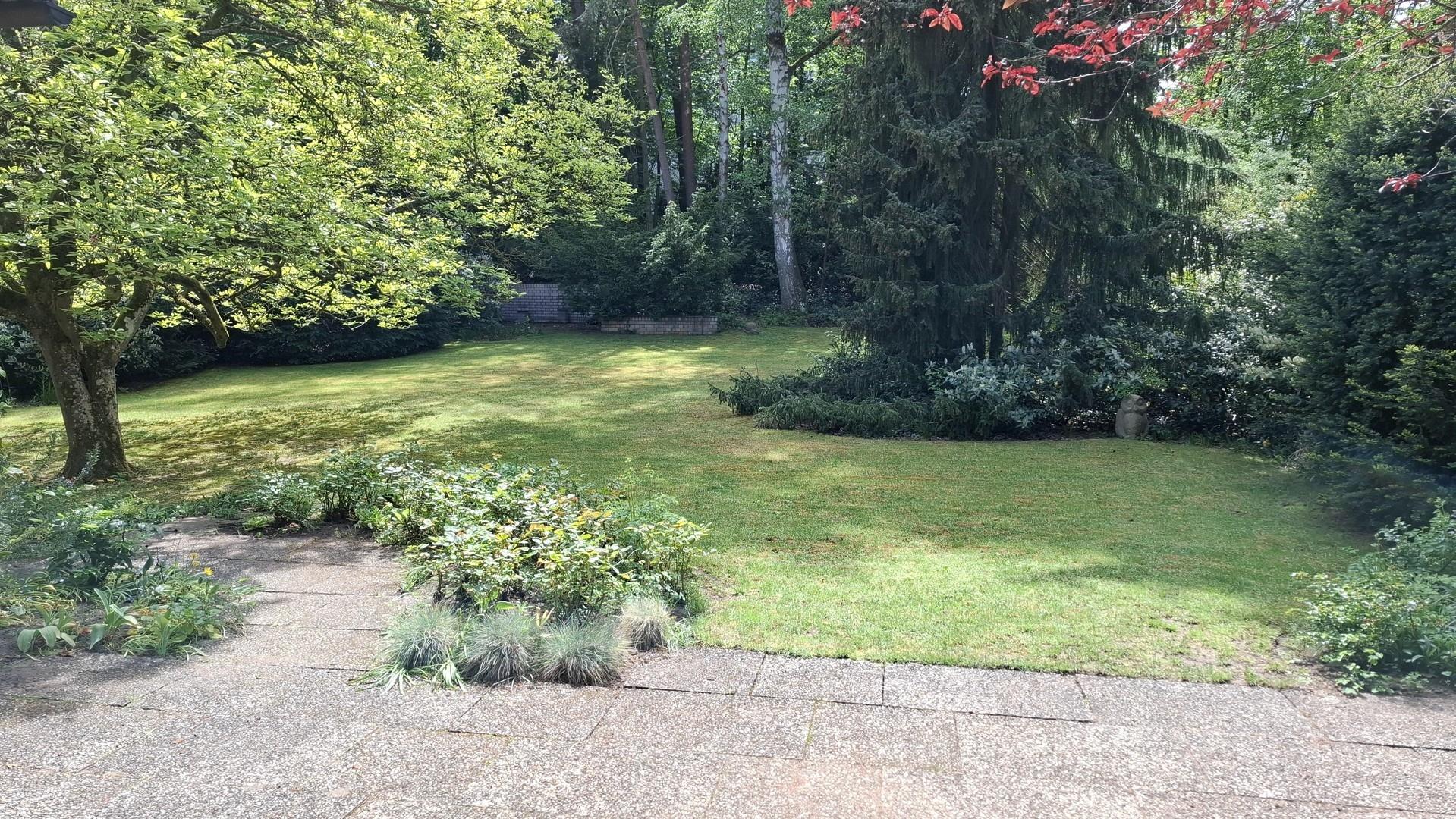 Blick in den Garten