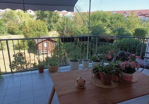 Balkon