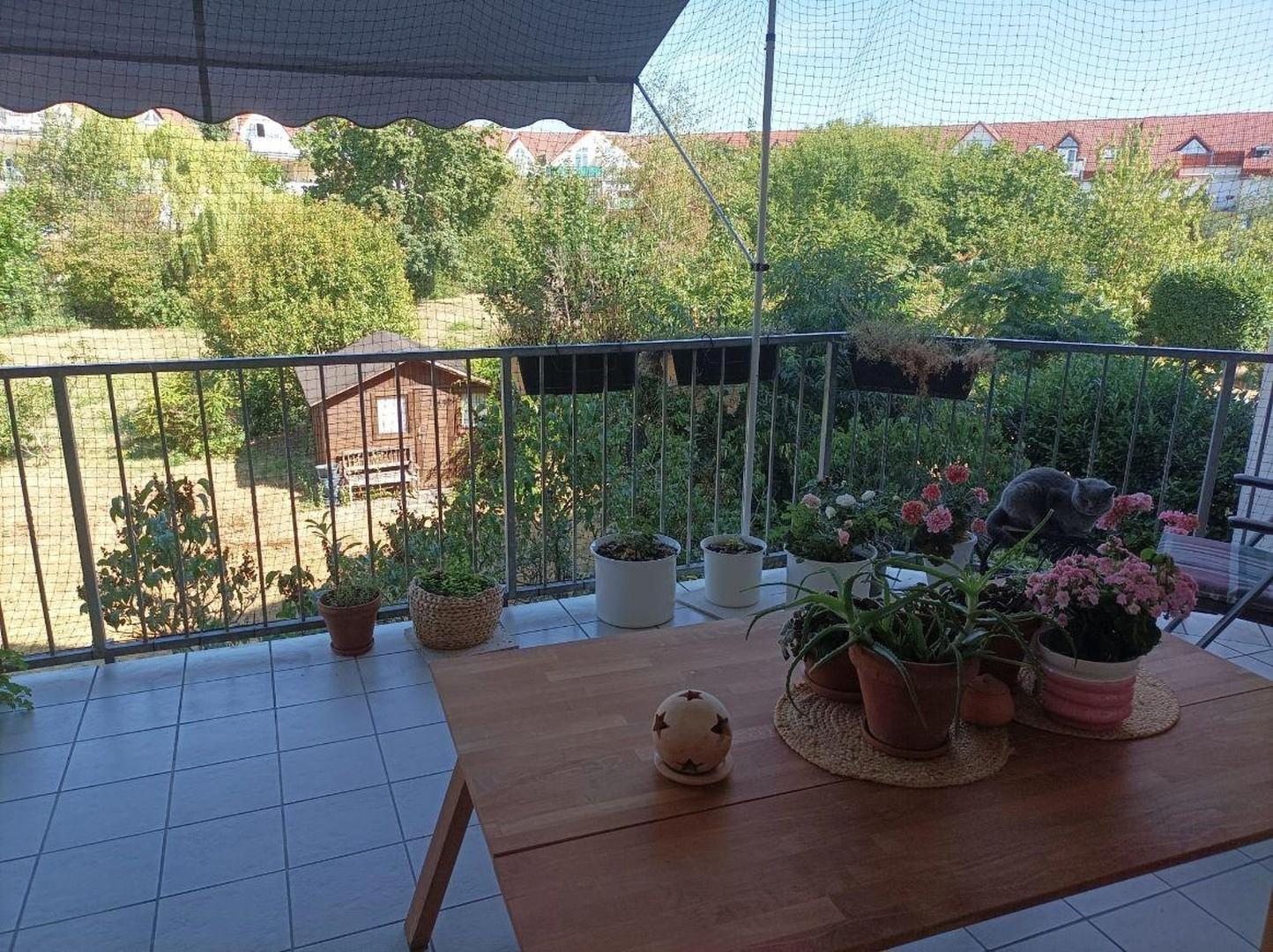Balkon