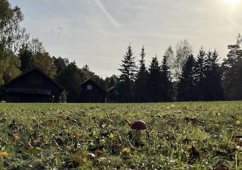 Herbst