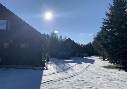 Winter