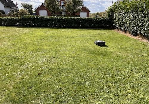 Garten