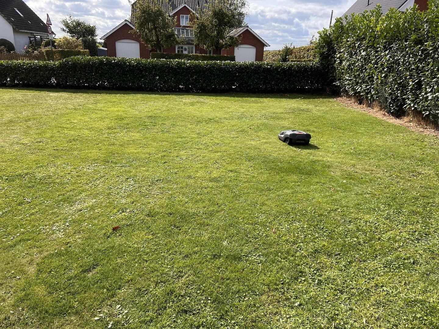 Garten