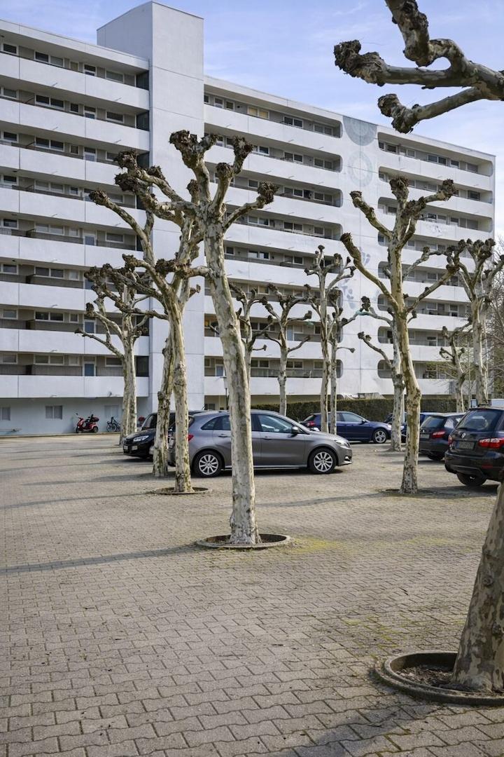 Frinansicht