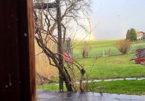 Blick aus dem Küchenfenster