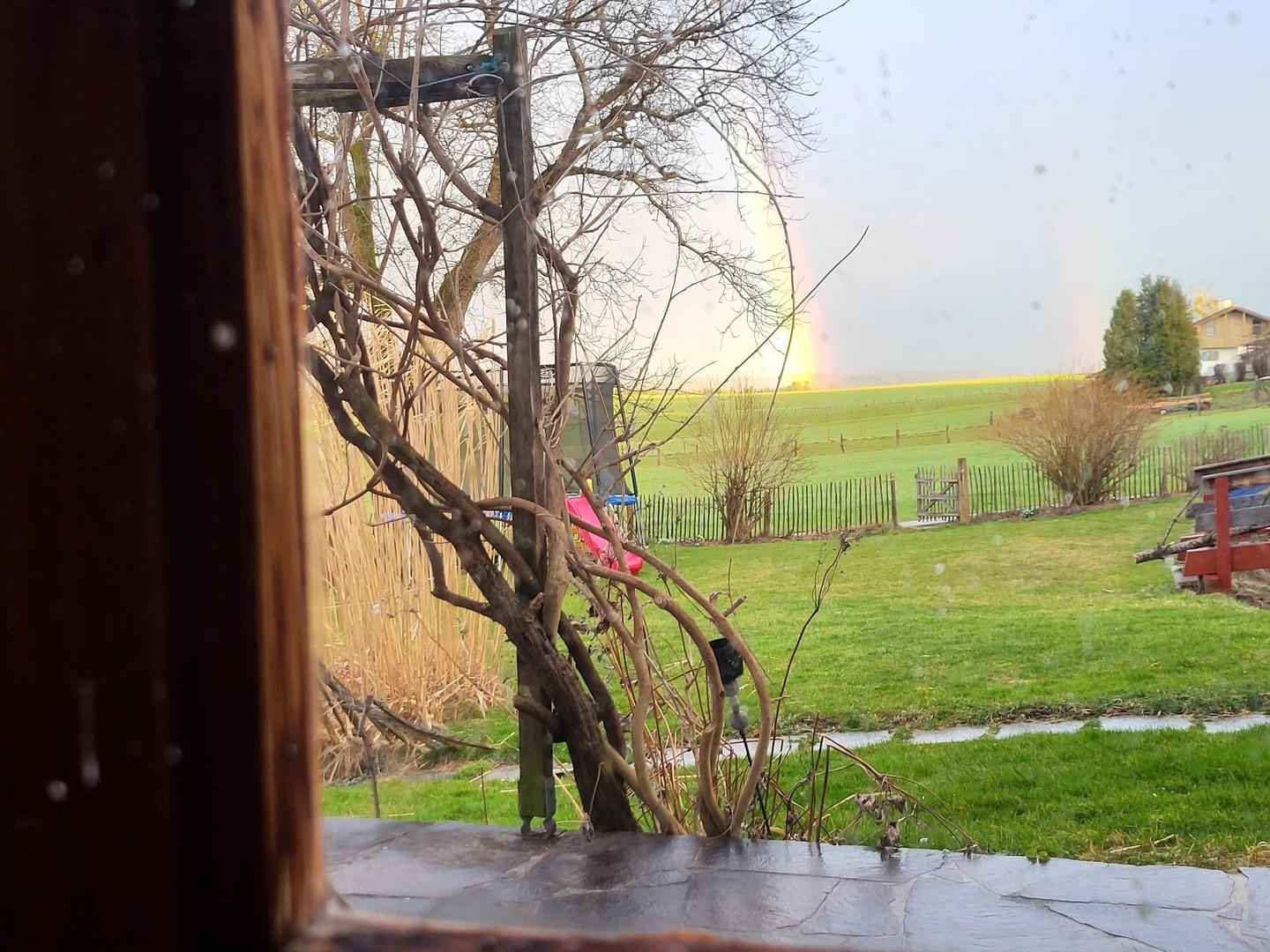 Blick aus dem Küchenfenster