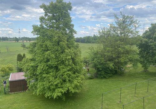 Hofblick