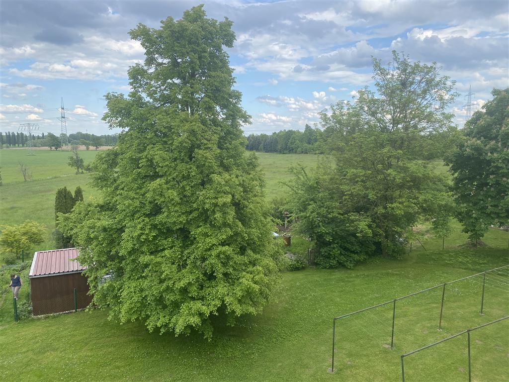 Hofblick