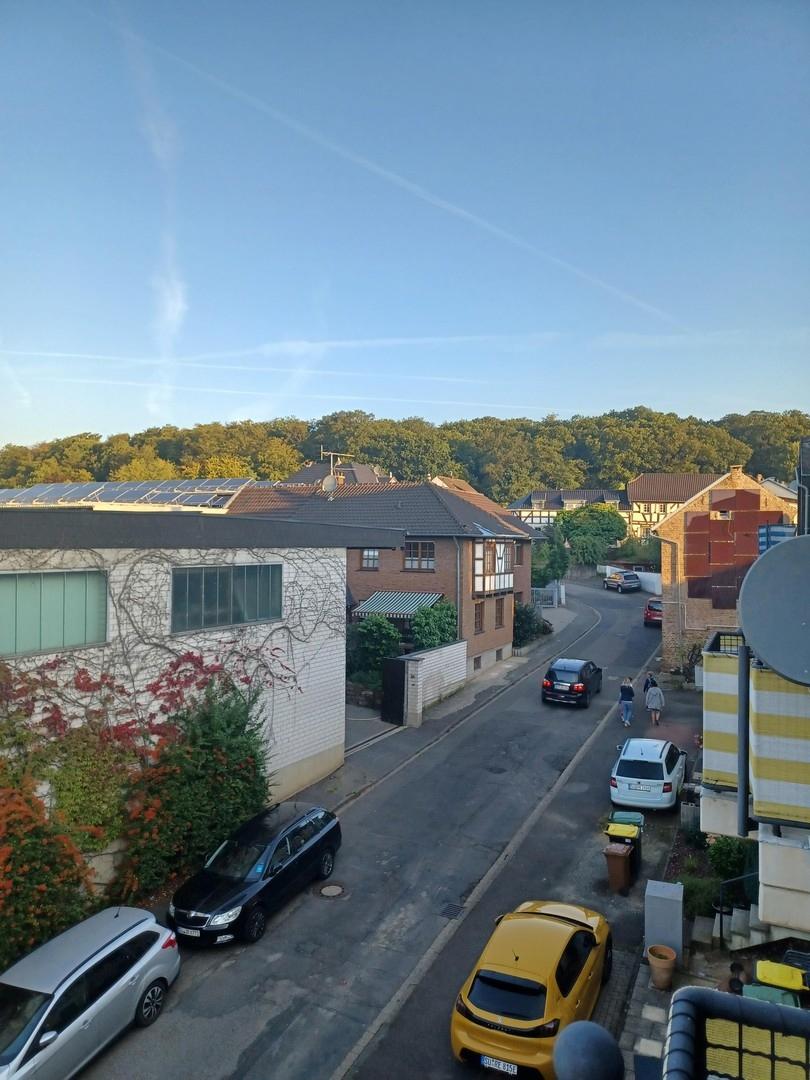 Blick zum Kottenforst