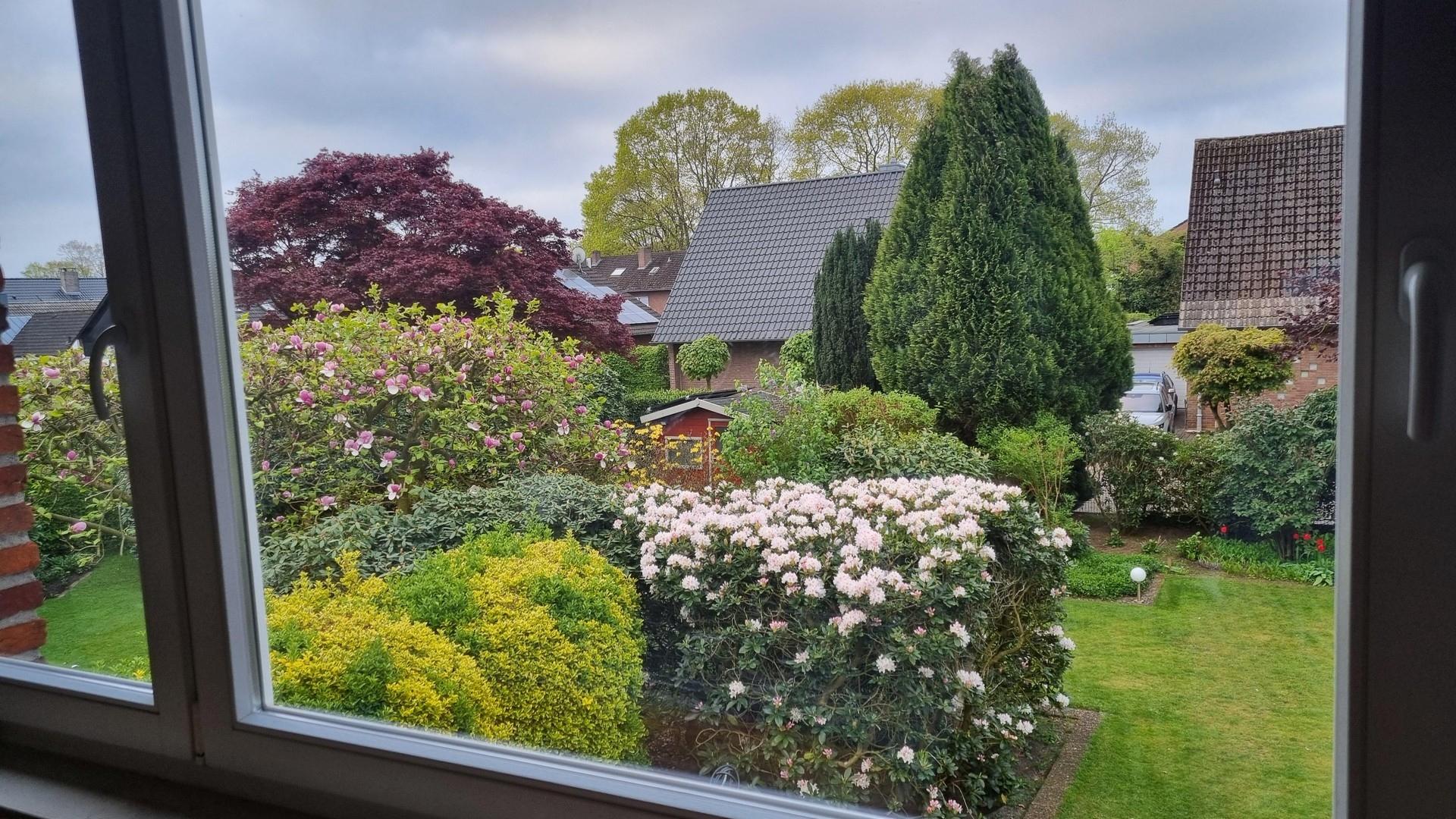 Blick aus Schlafzimmer 1