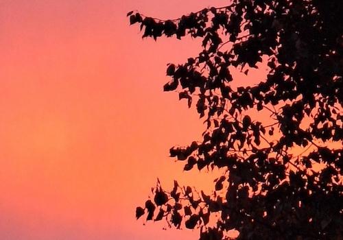 Abendstimmung im Westen