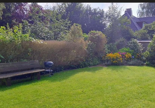 Garten / Grundstück