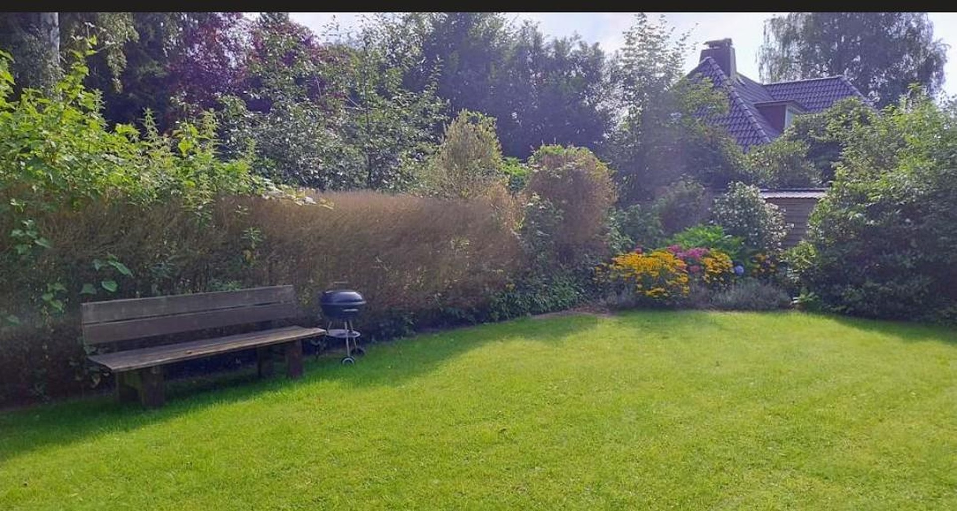 Garten / Grundstück