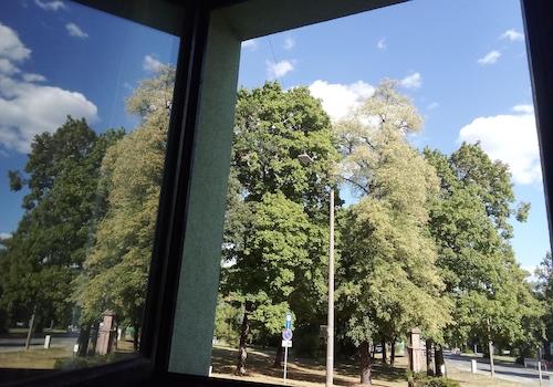 Ausblick vom Wohnzimmer