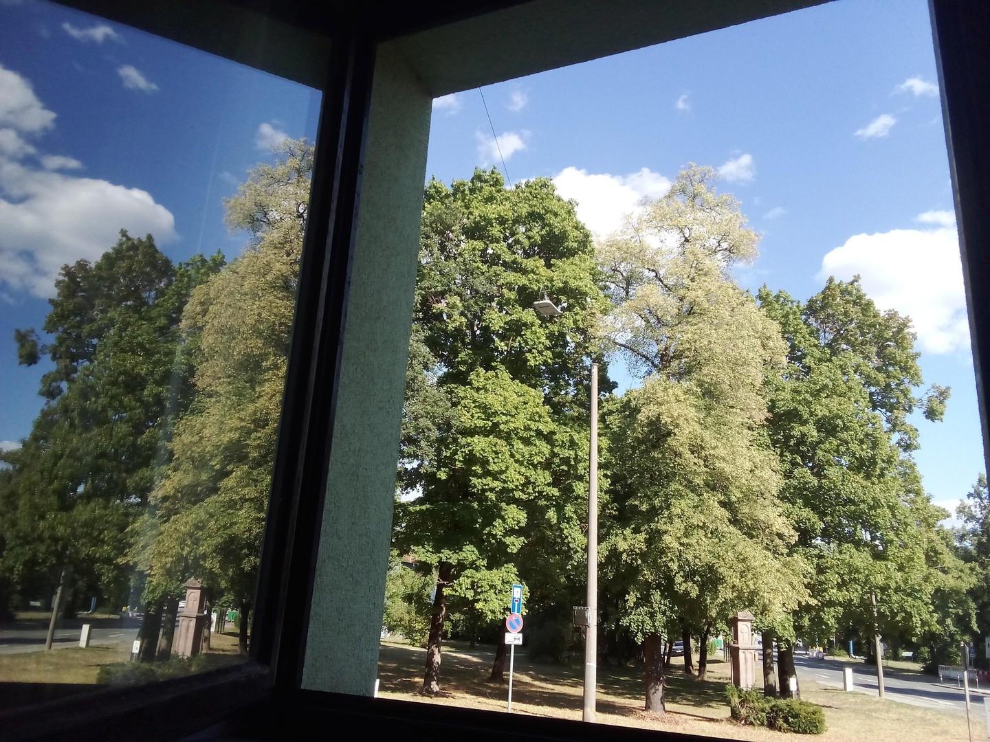 Ausblick vom Wohnzimmer