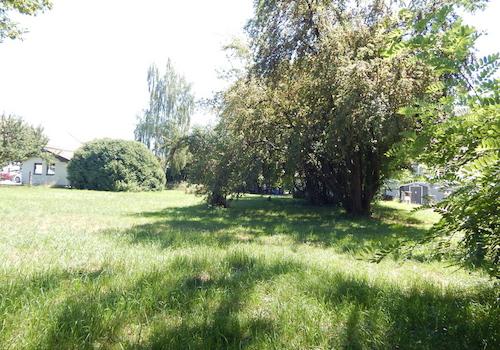 Impressionen