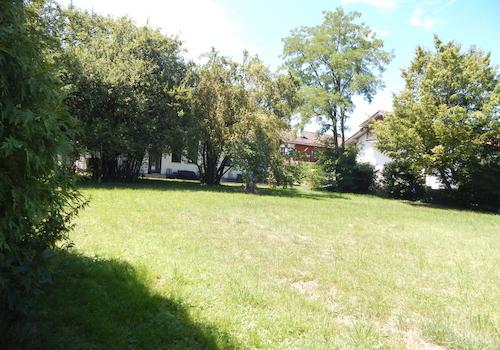 Impressionen