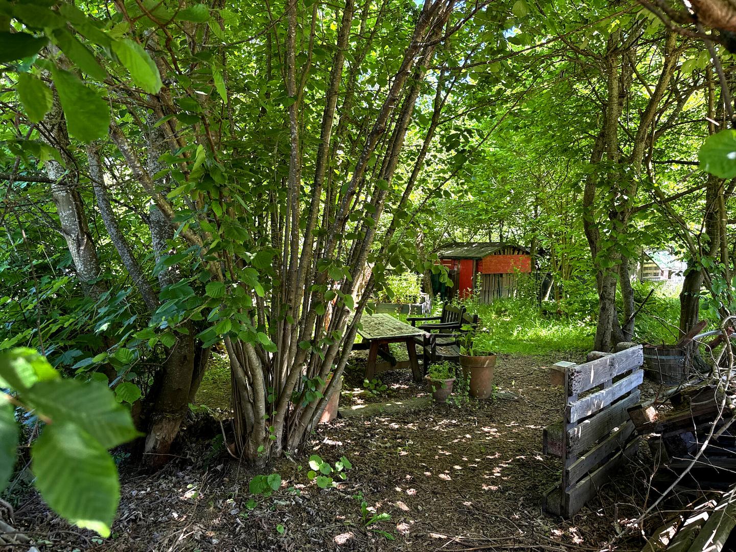 Gartengrundstück