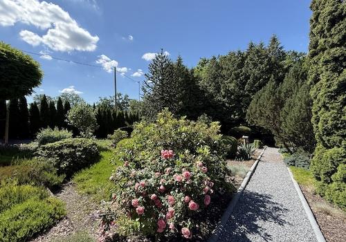 Garten