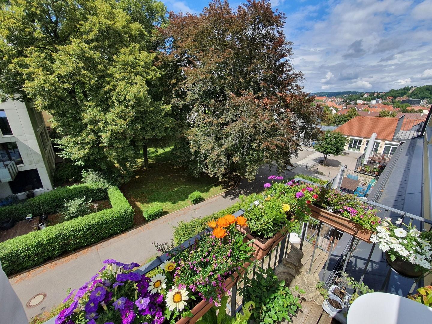 Balkon, Blick nach Norden