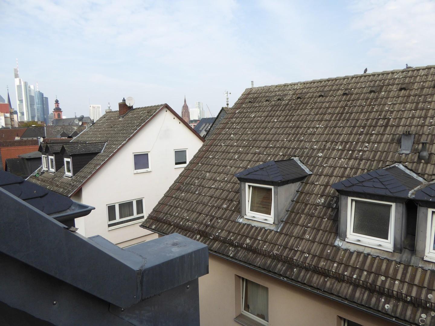 Blick aus dem Wohnzimmer