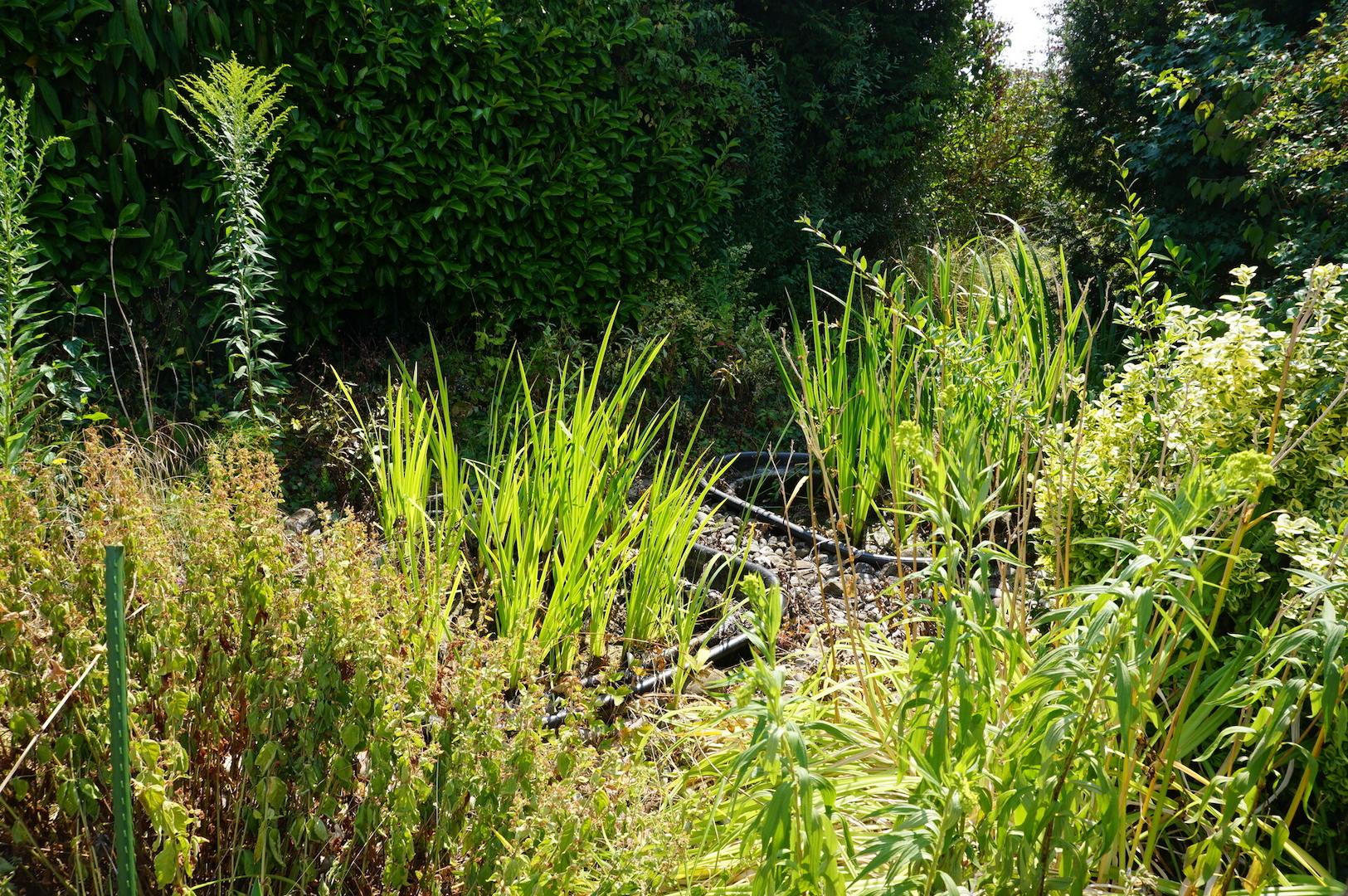 Gartenbereich