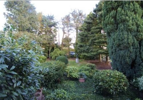 Ausblick Küche in den Garten