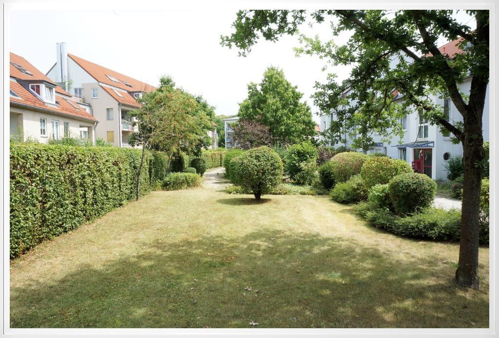 schöne Umgebung