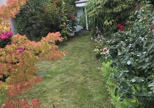 Blick zur Terrasse