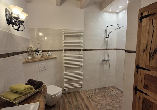 WE 1 - barrierefreie Dusche EG