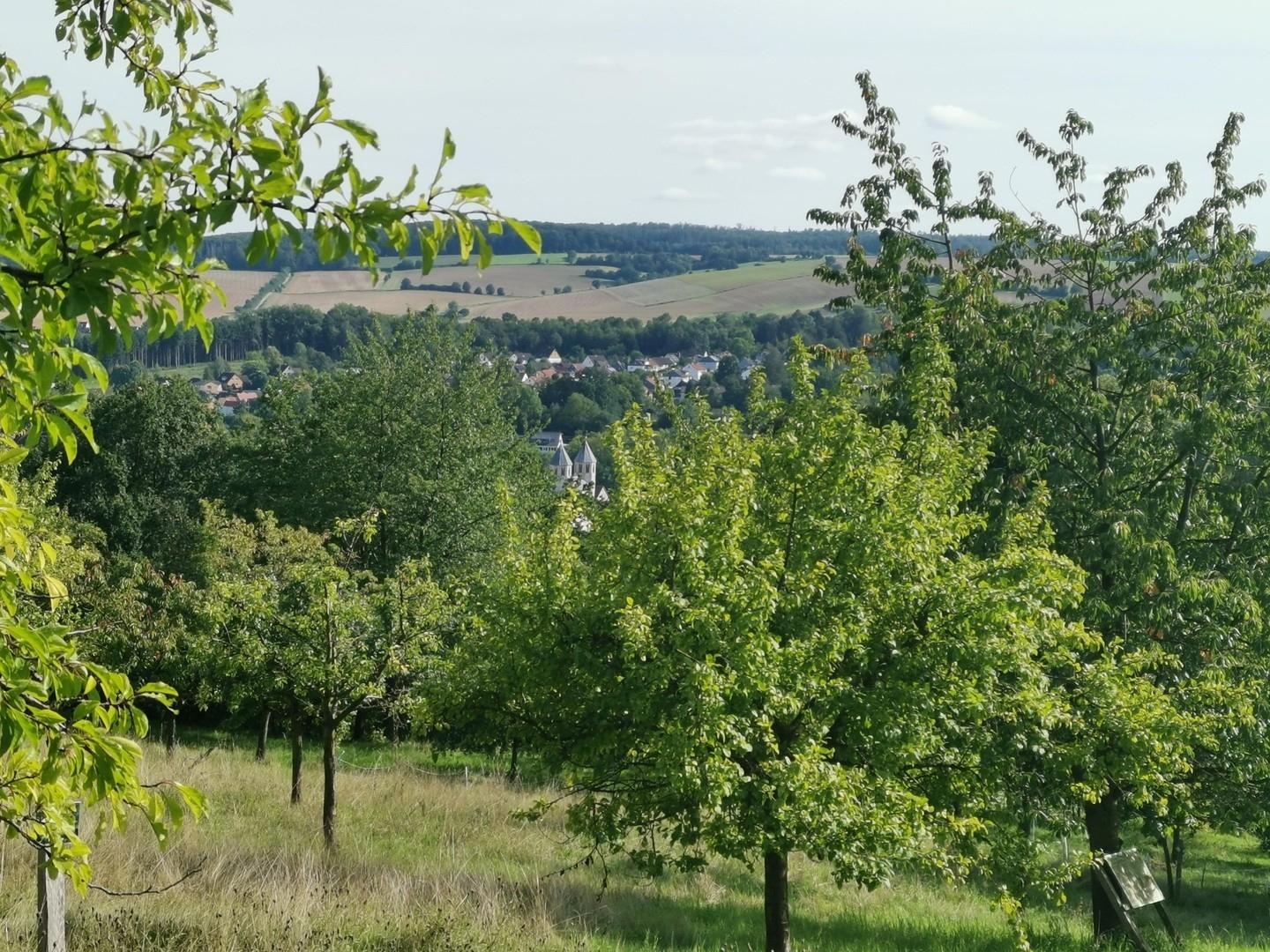 Umgebung