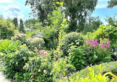 Garten