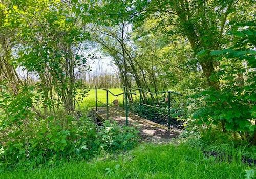 Brücke zum Obstgarten