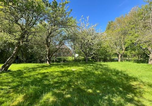 Obstgarten