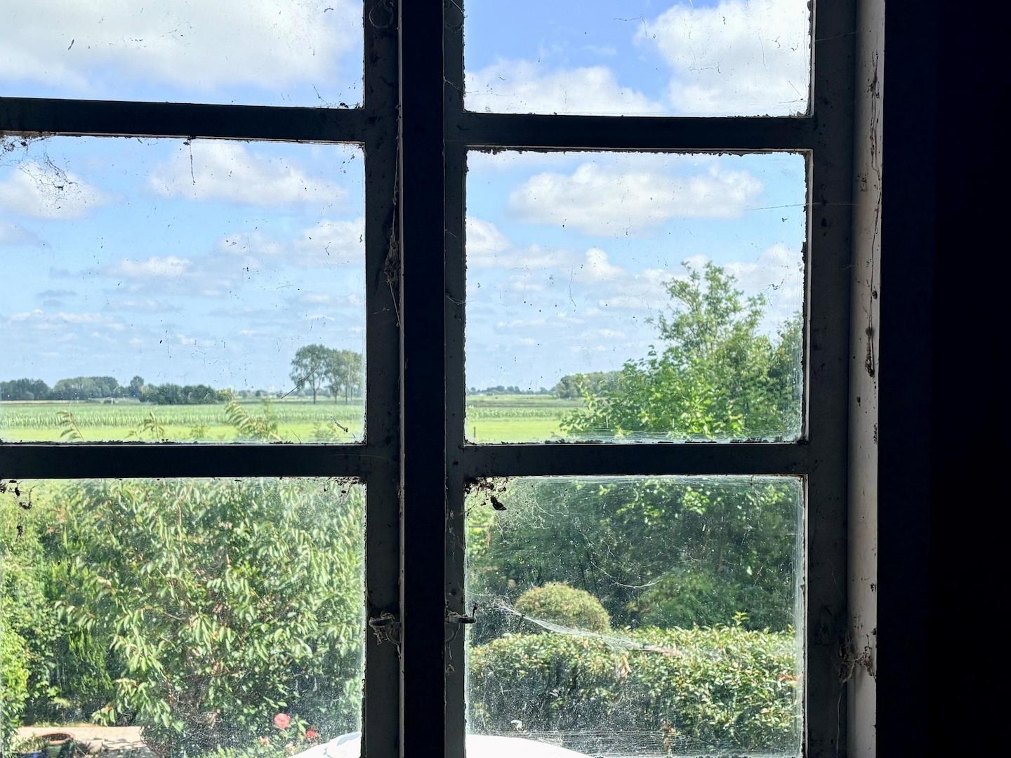 Ausblick  nach Osten