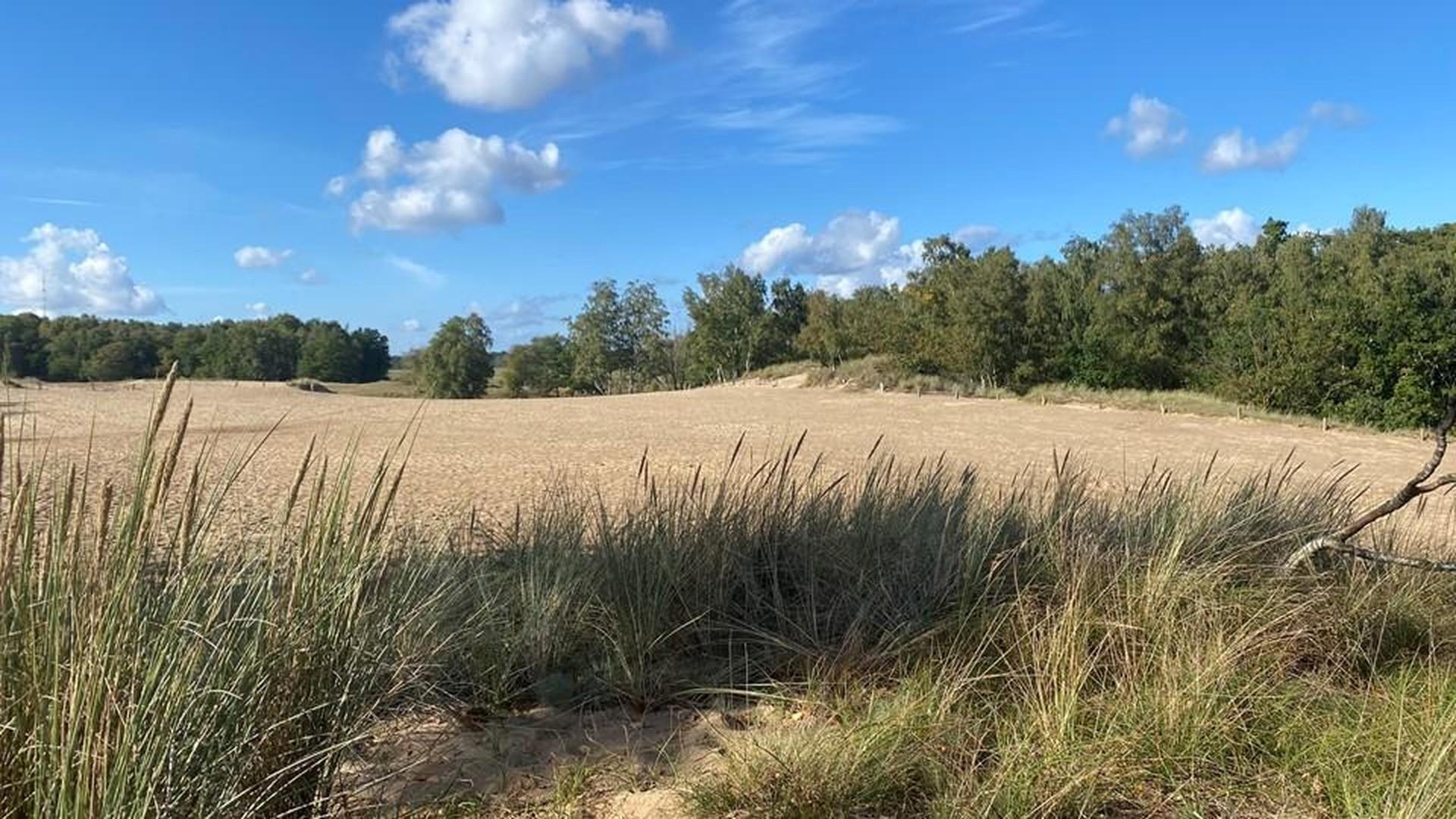 Boberger Dünen