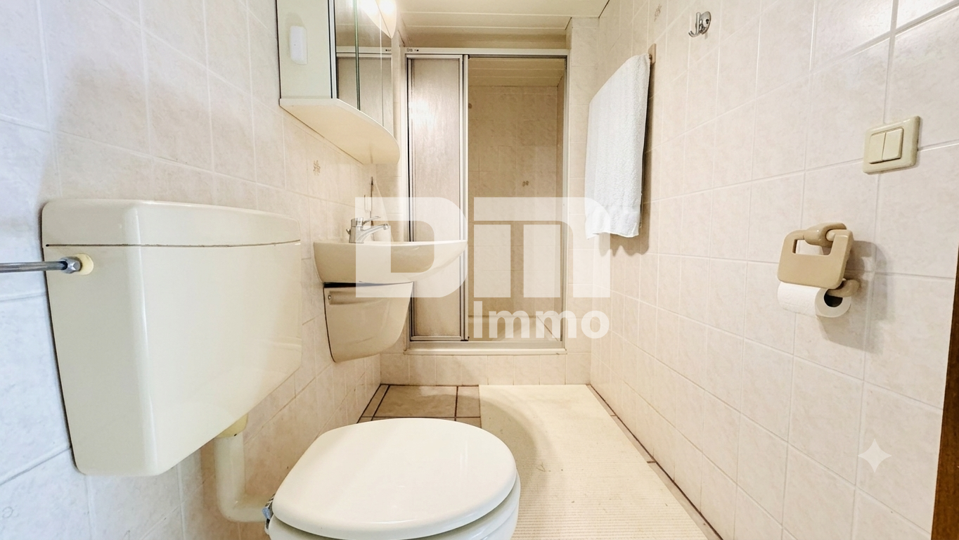Souterrain Badezimmer / Dusche