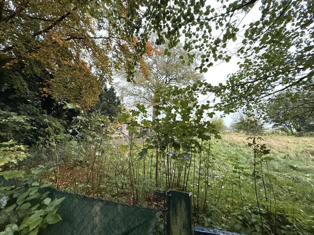 Bild...