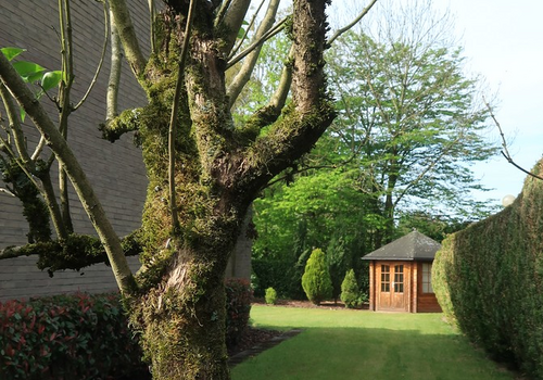 Garten